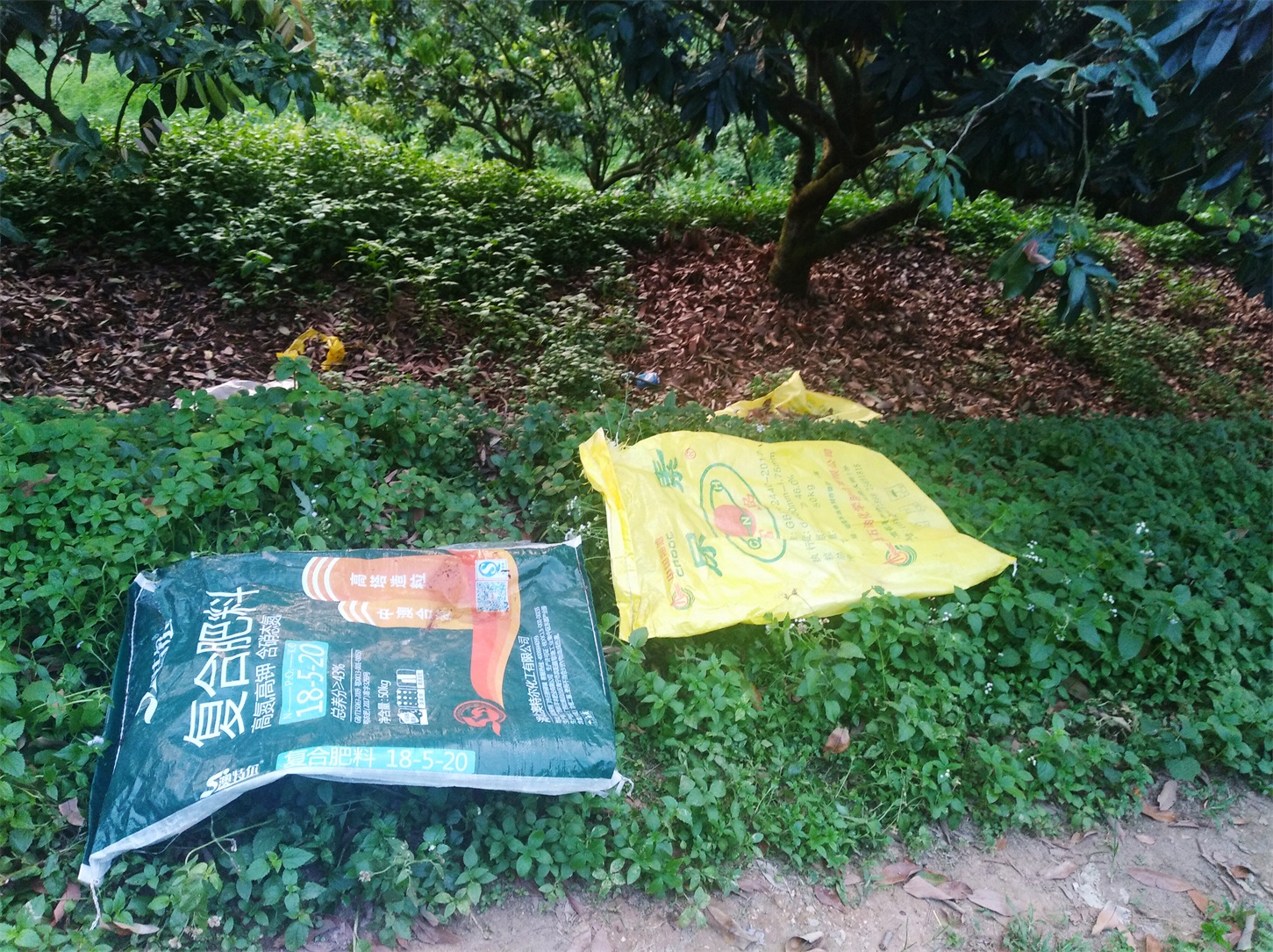 微信图片_201905051502171.jpg