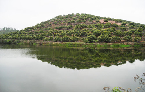 DSCN1277.jpg