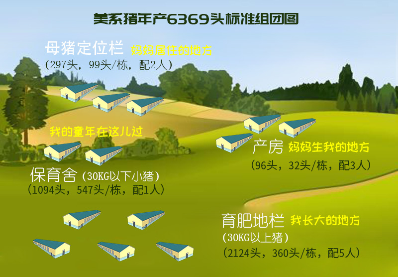 美系猪标准组团图.jpg