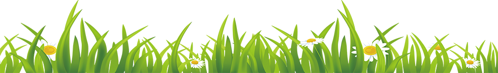 草.png